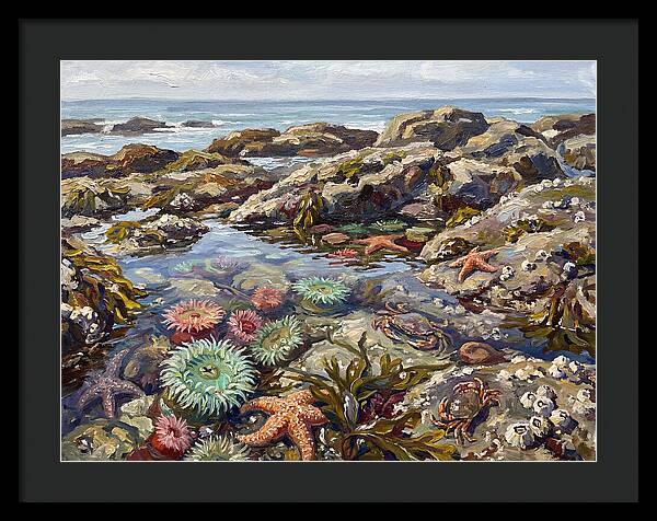 Tranquil Ocean Views 8969