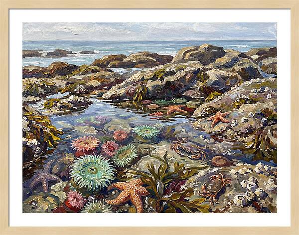 Tranquil Ocean Views 8969