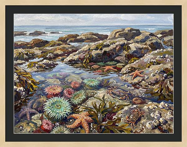 Tranquil Ocean Views 8969