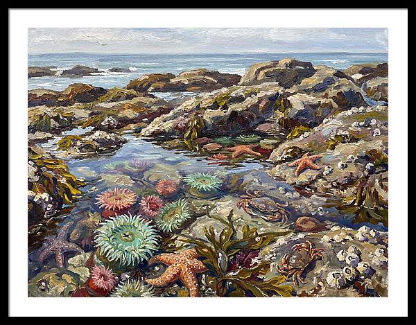 Tranquil Ocean Views 8969