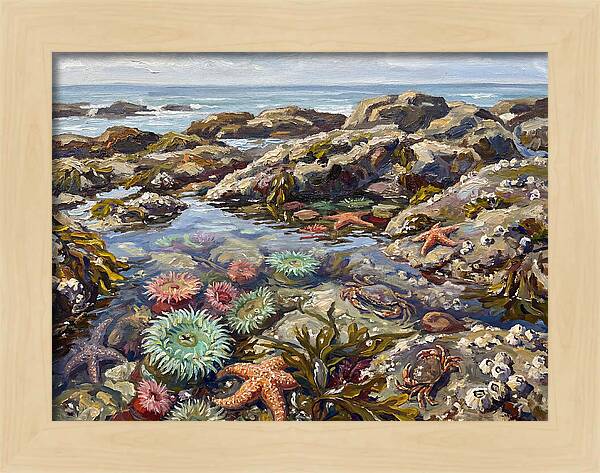 Tranquil Ocean Views 8969