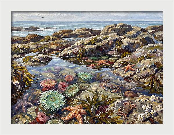 Tranquil Ocean Views 8969