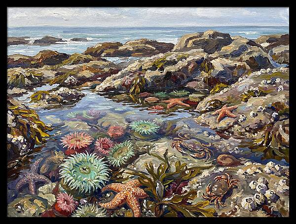 Tranquil Ocean Views 8969