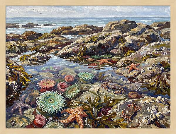 Tranquil Ocean Views 8969