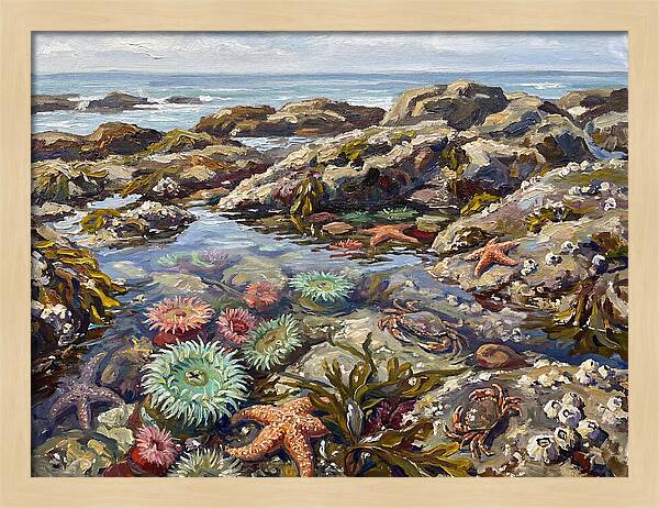 Tranquil Ocean Views 8969