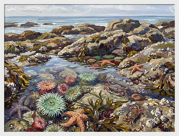 Tranquil Ocean Views 8969