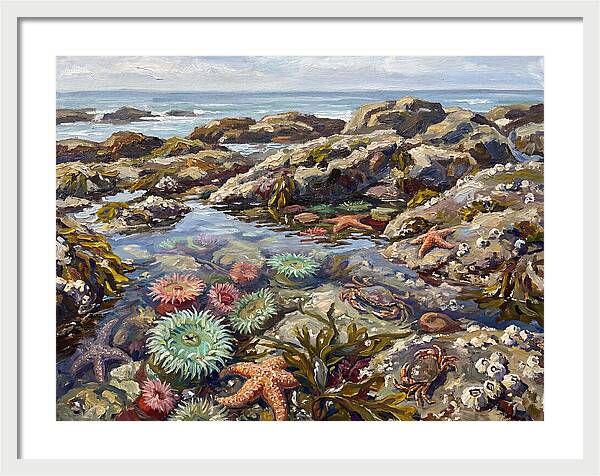 Tranquil Ocean Views 8969