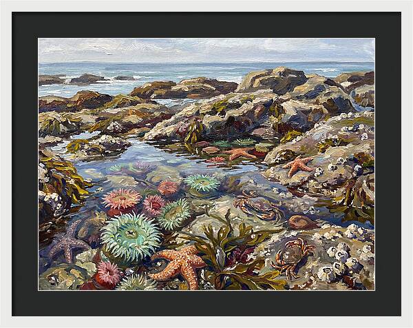 Tranquil Ocean Views 8969