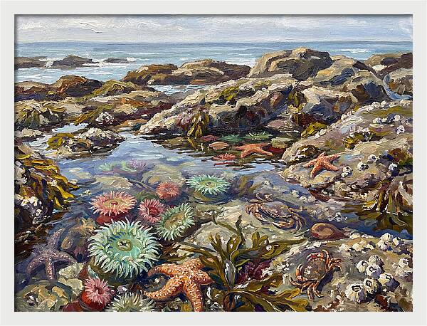 Tranquil Ocean Views 8969