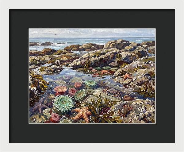 Tranquil Ocean Views 8969