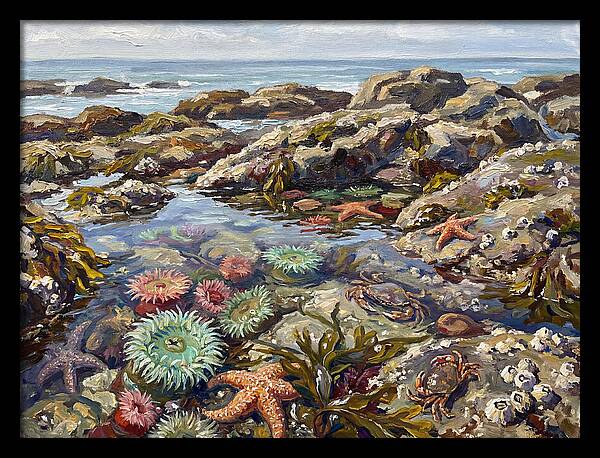 Tranquil Ocean Views 8969