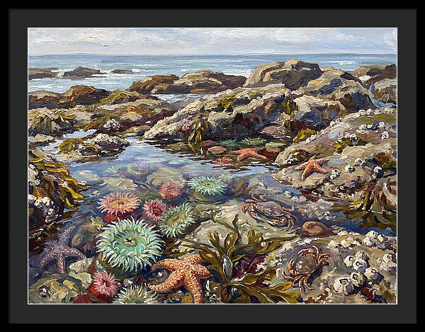 Tranquil Ocean Views 8969