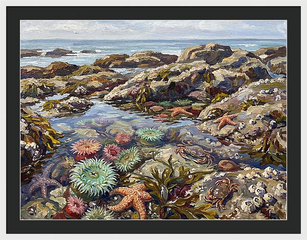 Tranquil Ocean Views 8969