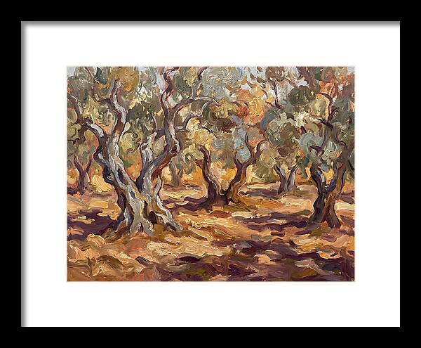 Tranquil Olive Grove 6092