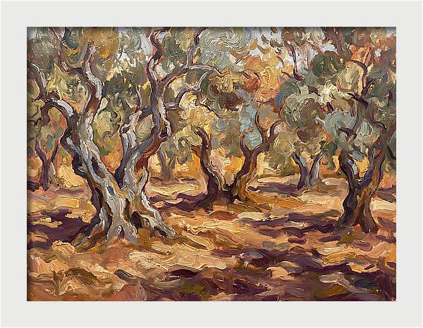 Tranquil Olive Grove 6092
