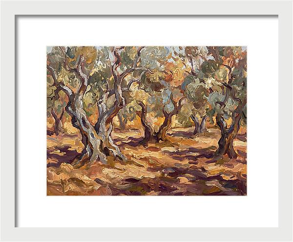Tranquil Olive Grove 6092