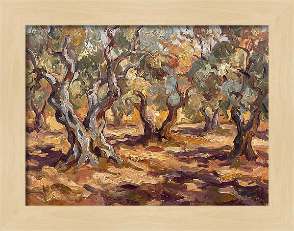 Tranquil Olive Grove 6092