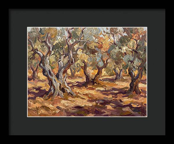 Tranquil Olive Grove 6092