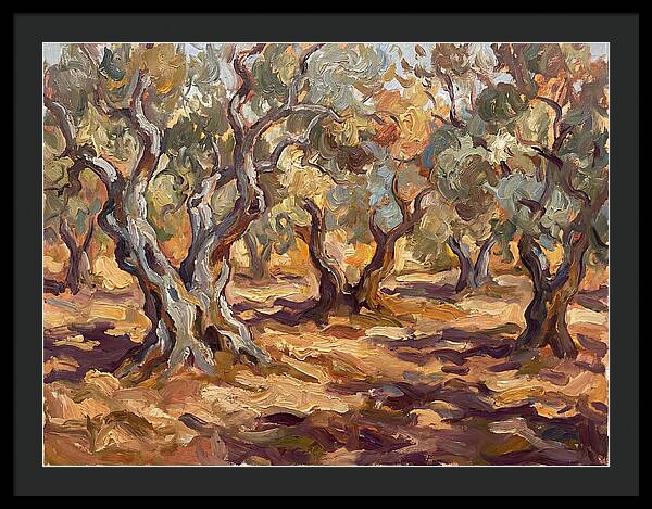 Tranquil Olive Grove 6092