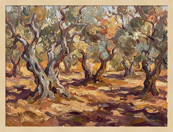 Tranquil Olive Grove 6092