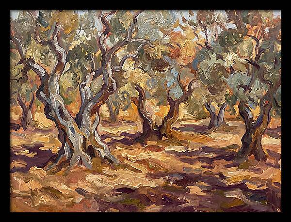 Tranquil Olive Grove 6092