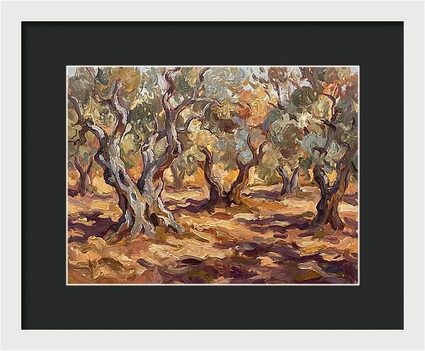 Tranquil Olive Grove 6092