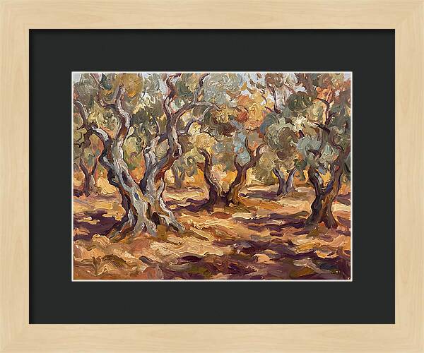 Tranquil Olive Grove 6092