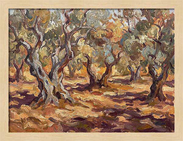 Tranquil Olive Grove 6092