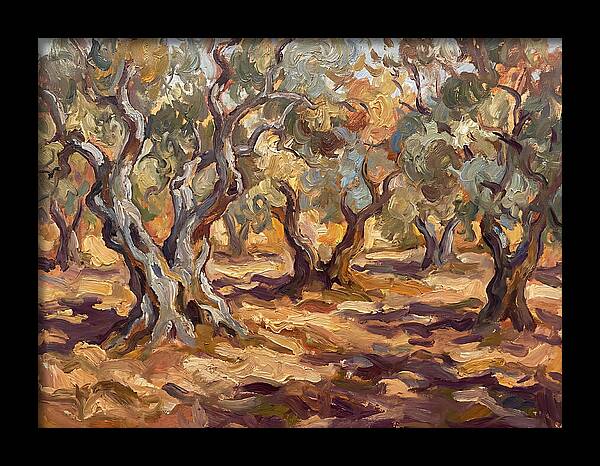 Tranquil Olive Grove 6092