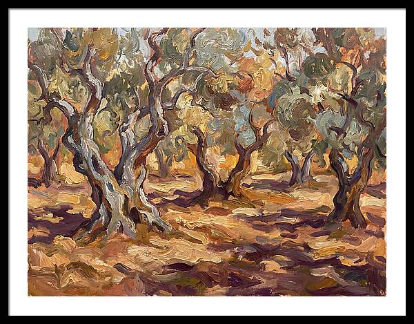 Tranquil Olive Grove 6092