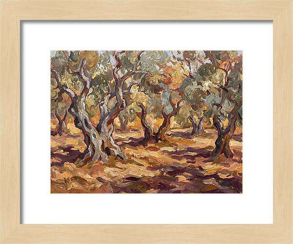 Tranquil Olive Grove 6092
