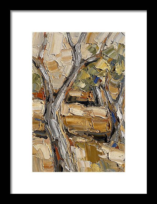 Tranquil Olive Grove 6093