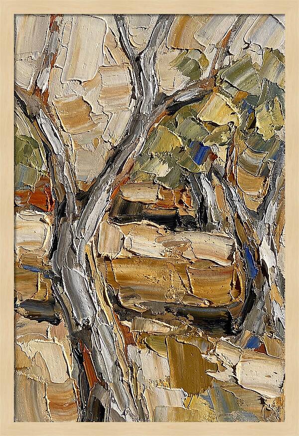 Tranquil Olive Grove 6093