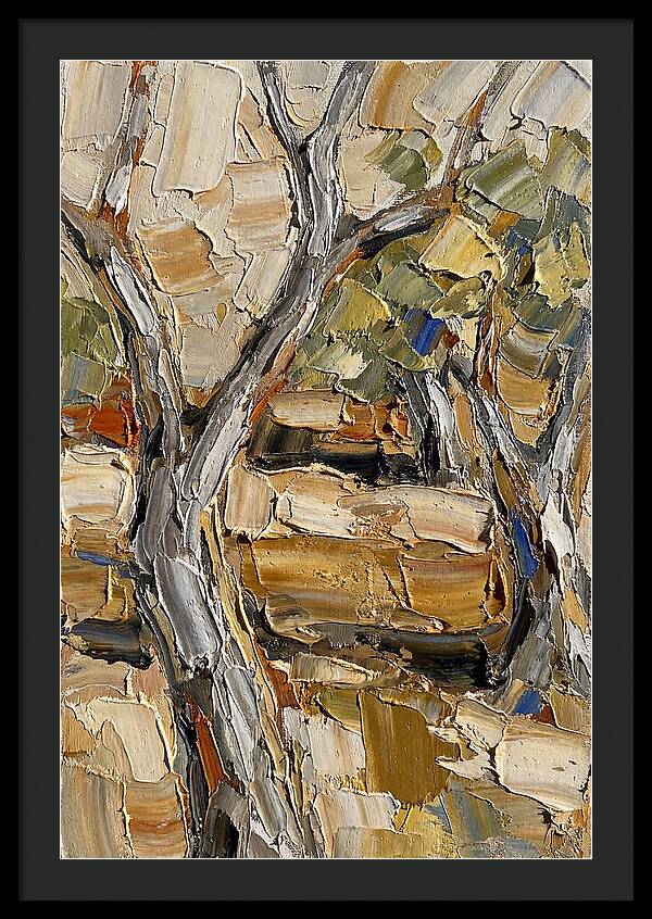 Tranquil Olive Grove 6093