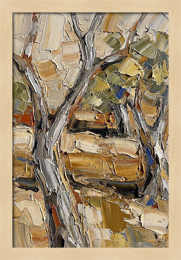 Tranquil Olive Grove 6093