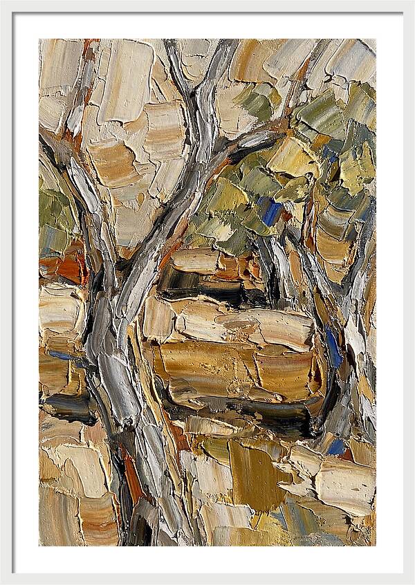 Tranquil Olive Grove 6093
