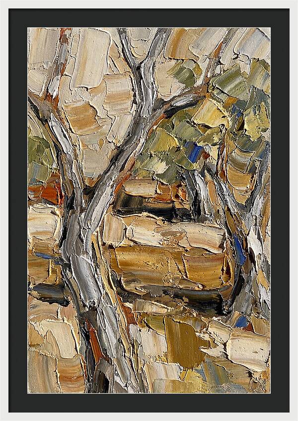 Tranquil Olive Grove 6093