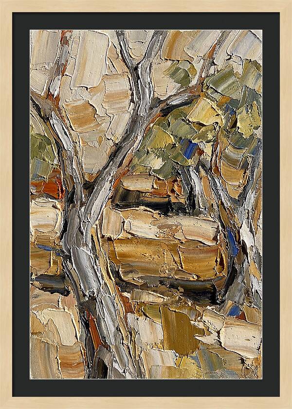 Tranquil Olive Grove 6093