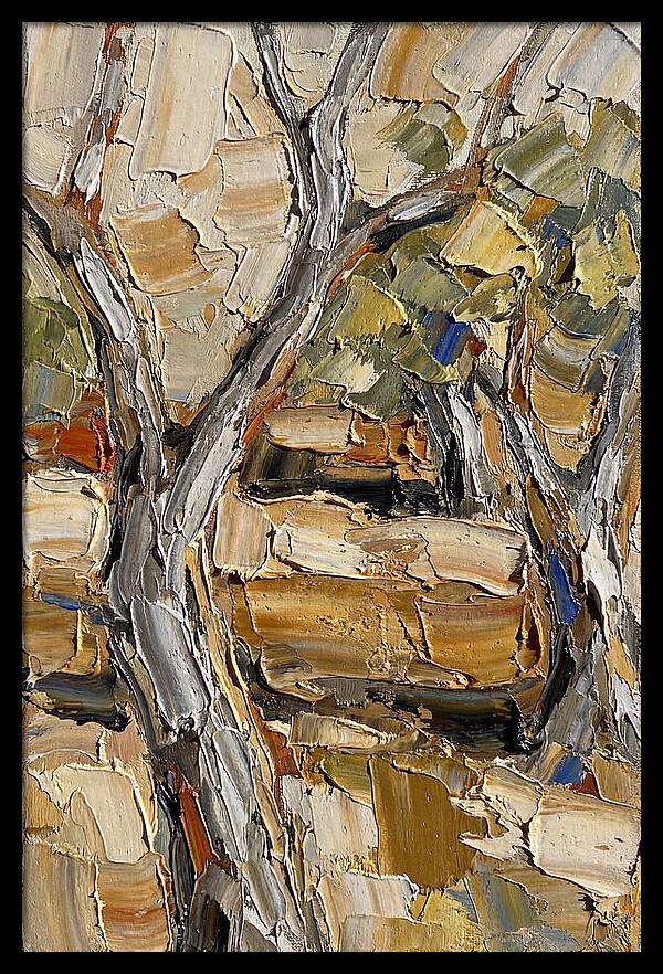 Tranquil Olive Grove 6093