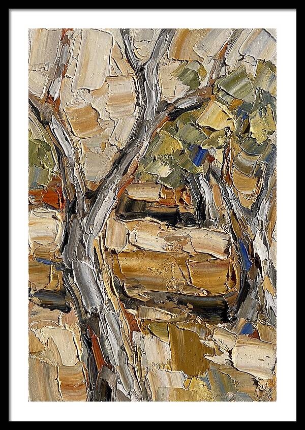 Tranquil Olive Grove 6093