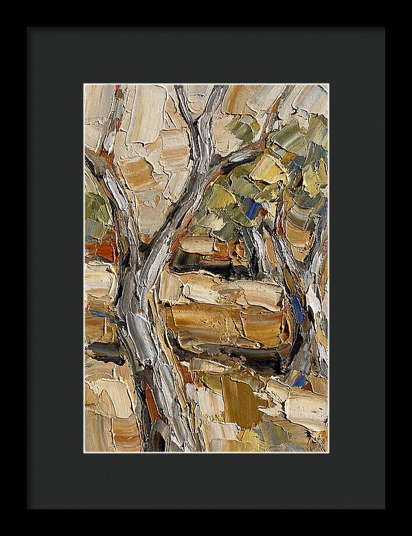 Tranquil Olive Grove 6093