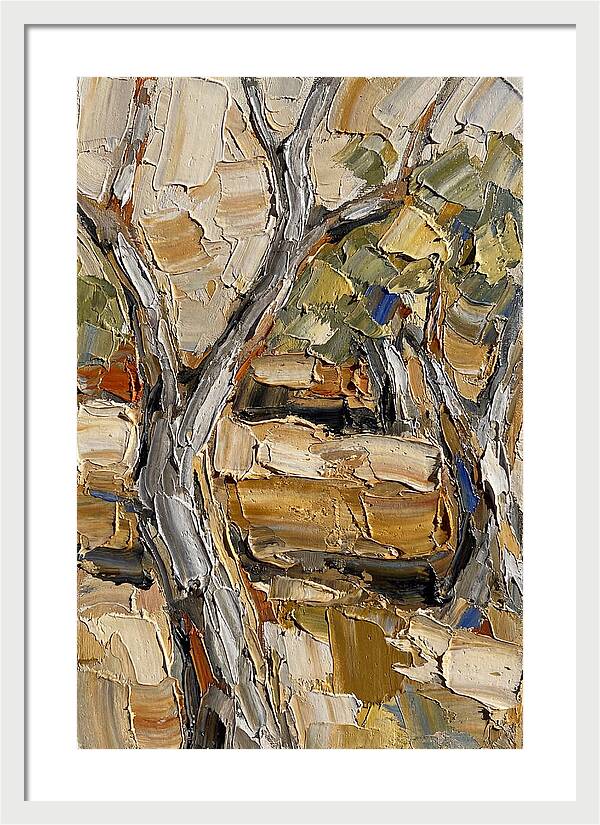 Tranquil Olive Grove 6093