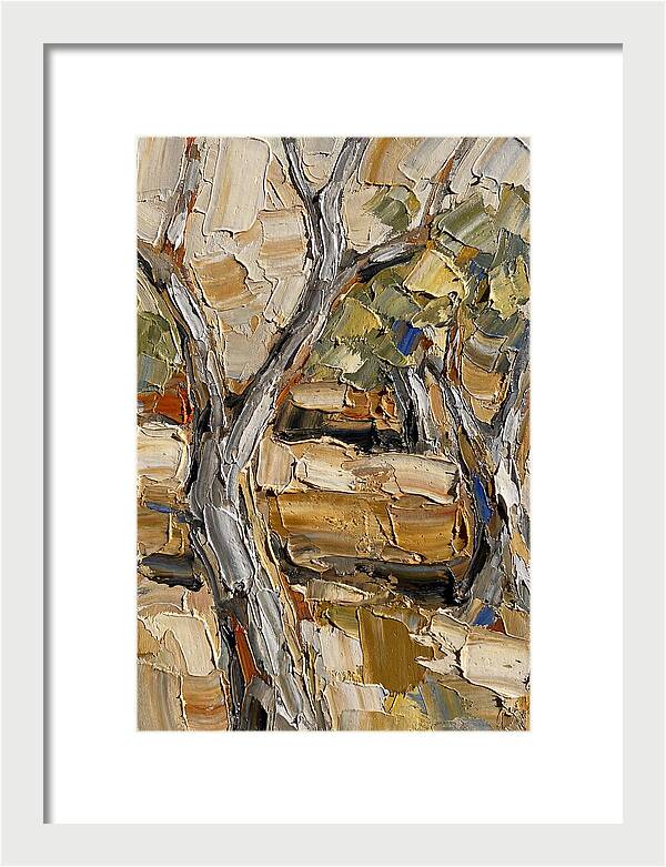 Tranquil Olive Grove 6093