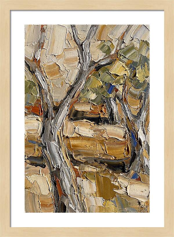 Tranquil Olive Grove 6093