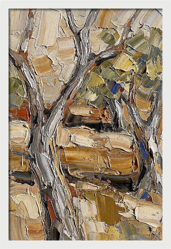 Tranquil Olive Grove 6093