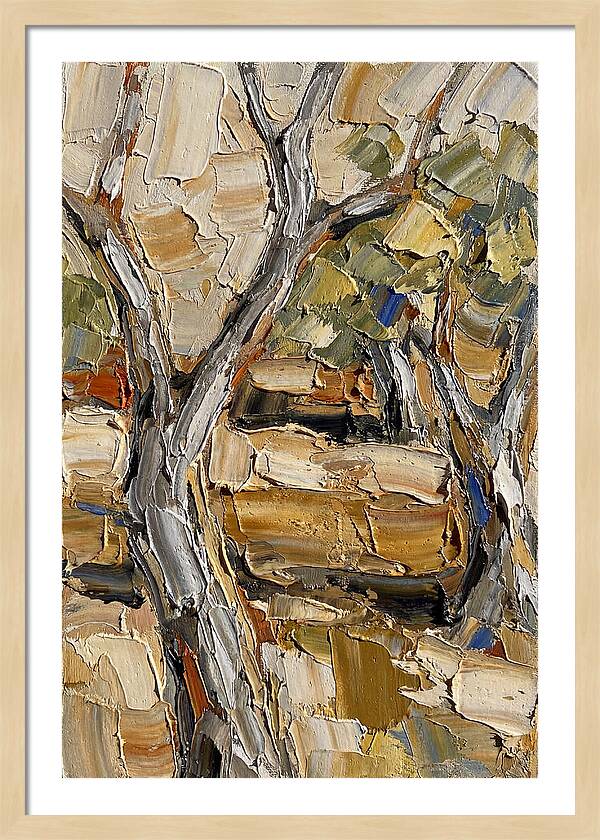 Tranquil Olive Grove 6093