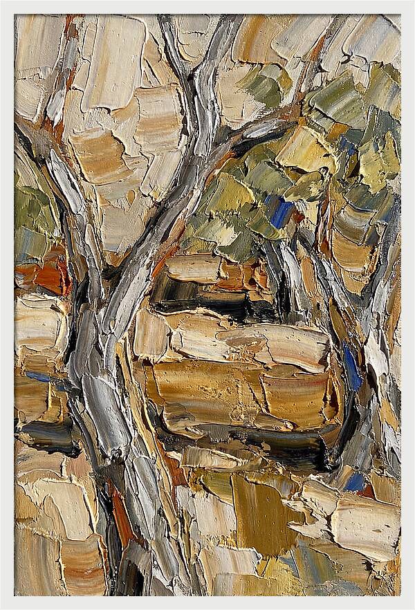 Tranquil Olive Grove 6093