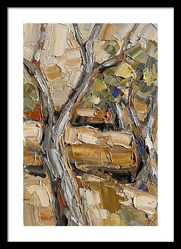 Tranquil Olive Grove 6093