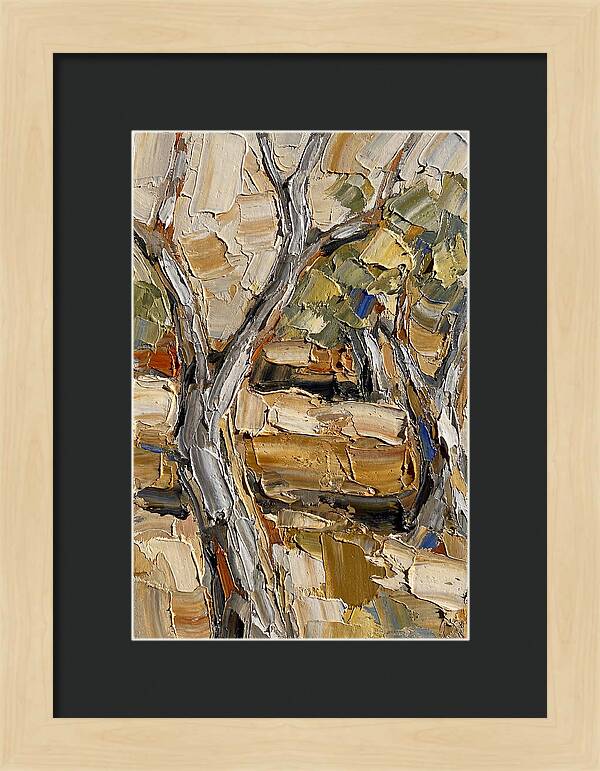 Tranquil Olive Grove 6093
