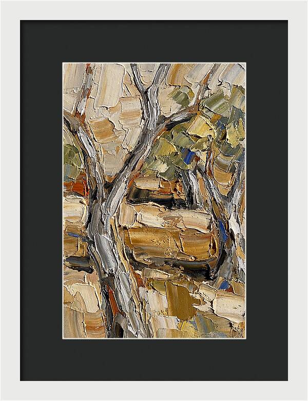 Tranquil Olive Grove 6093